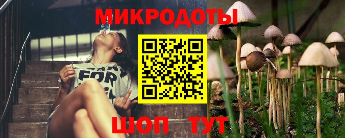 Псилоцибиновые грибы прущие грибы Гусиноозёрск